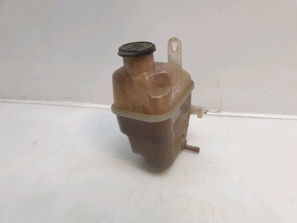 Mini Mini 2001-2006 Coolant Tank Bottle