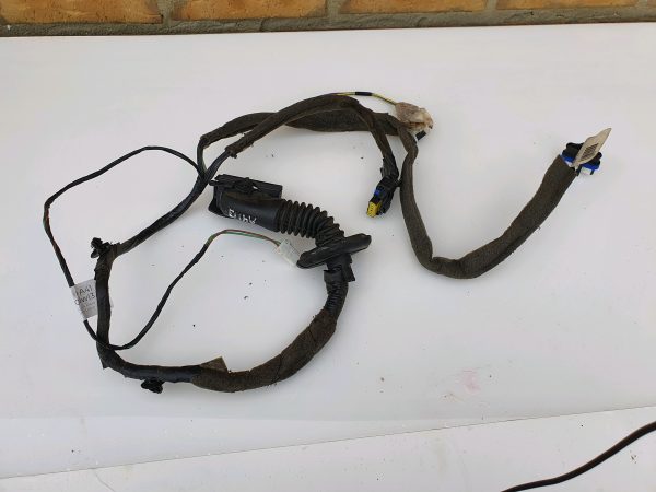 Renault Scenic 2006-2009 Rear Passenger NS Door Wiring Loom