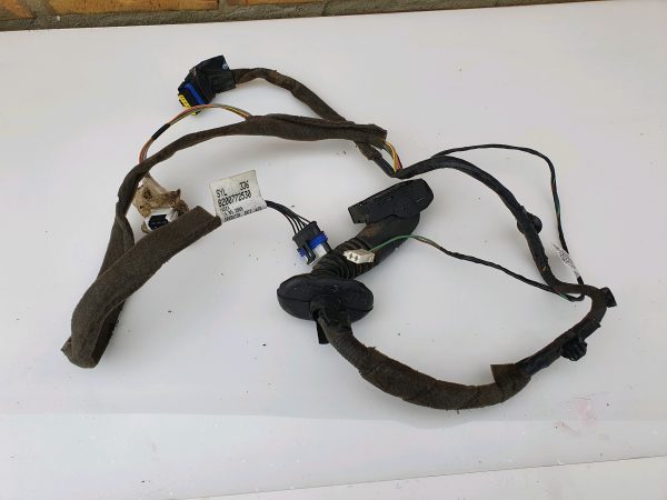 Renault Scenic 2006-2009 Rear Passenger NS Door Wiring Loom