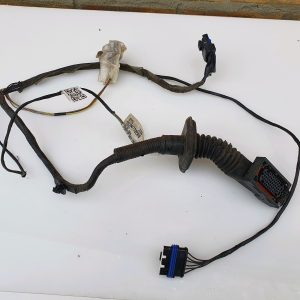 Renault Scenic 2006-2009 Front Passenger NS Door Wiring Loom