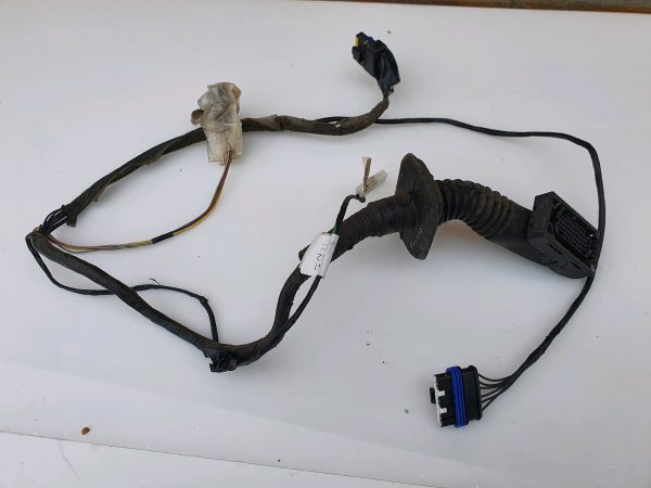 Renault Scenic 2006-2009 Front Passenger NS Door Wiring Loom